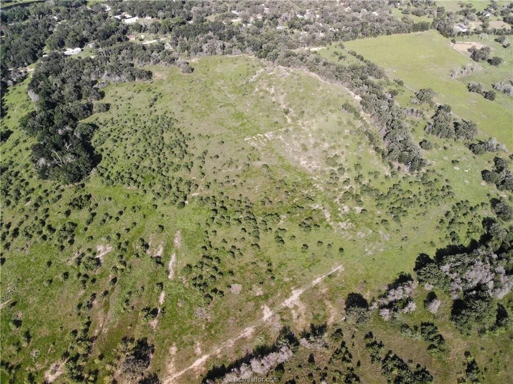 23.22 acres in Burleson County - photo 15