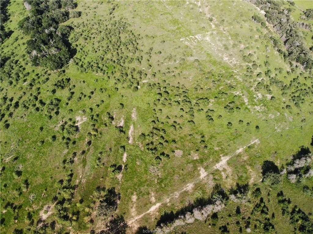 23.22 acres in Burleson County - photo 18
