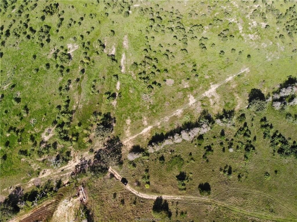23.22 acres in Burleson County - photo 19