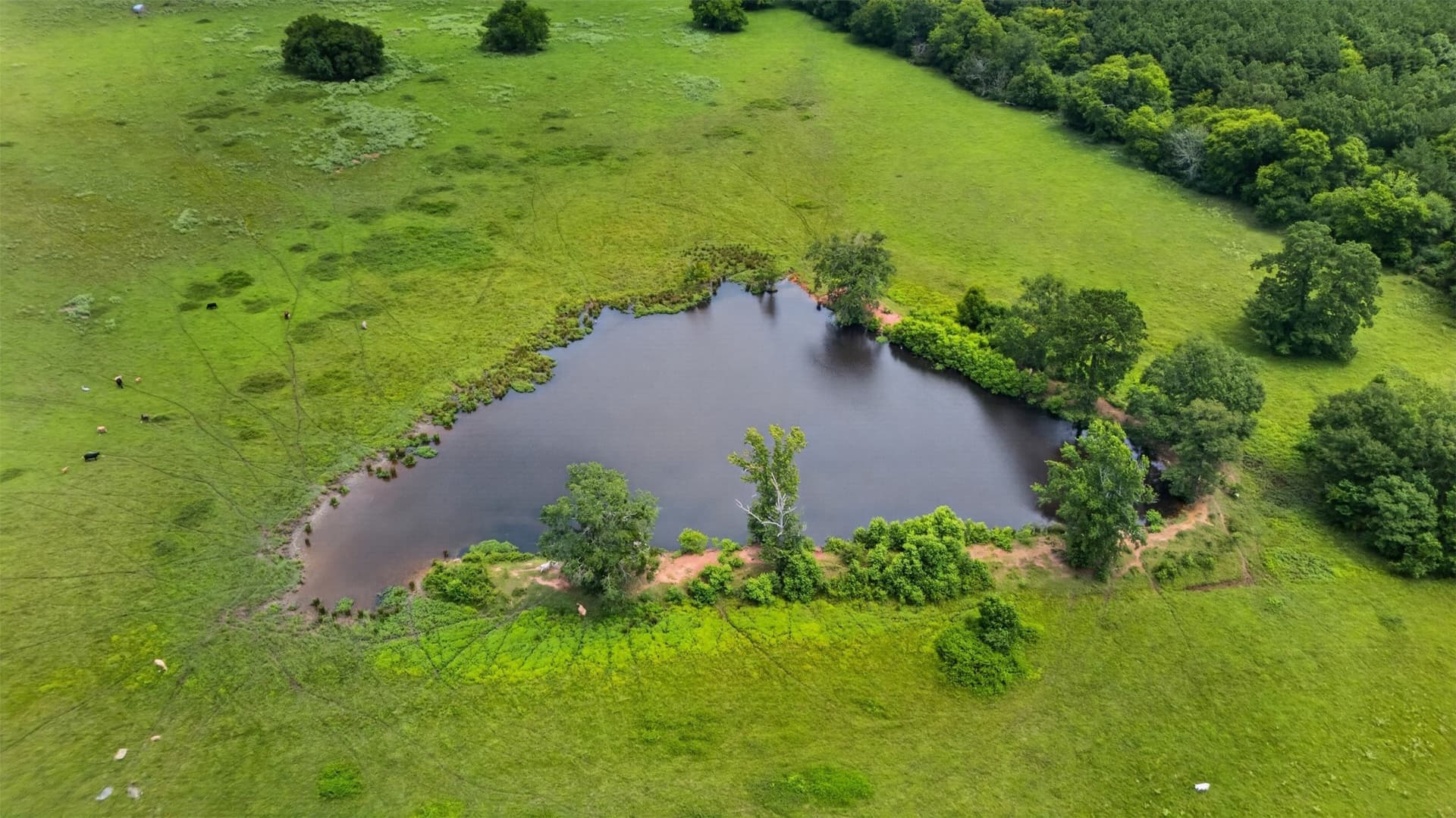 151.91 acres in Cherokee County - photo 2