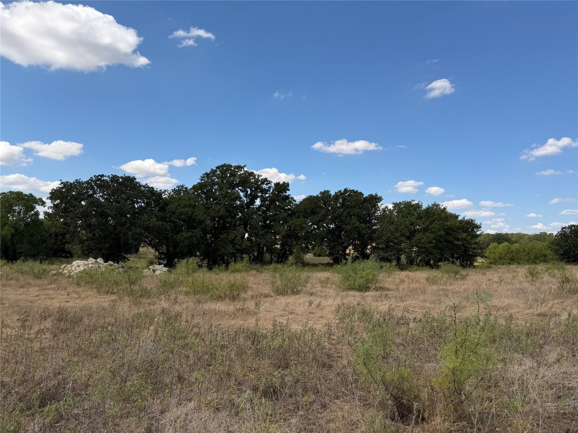 43.71 acres in Parker County - photo 3