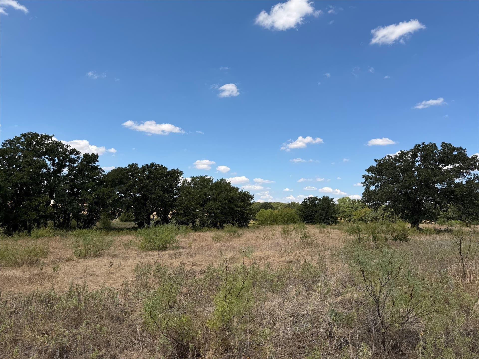 43.71 acres in Parker County - photo 2
