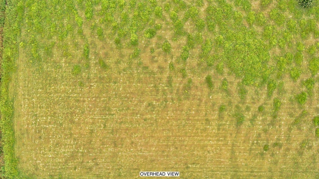 4.83 acres in McLennan County - photo 5