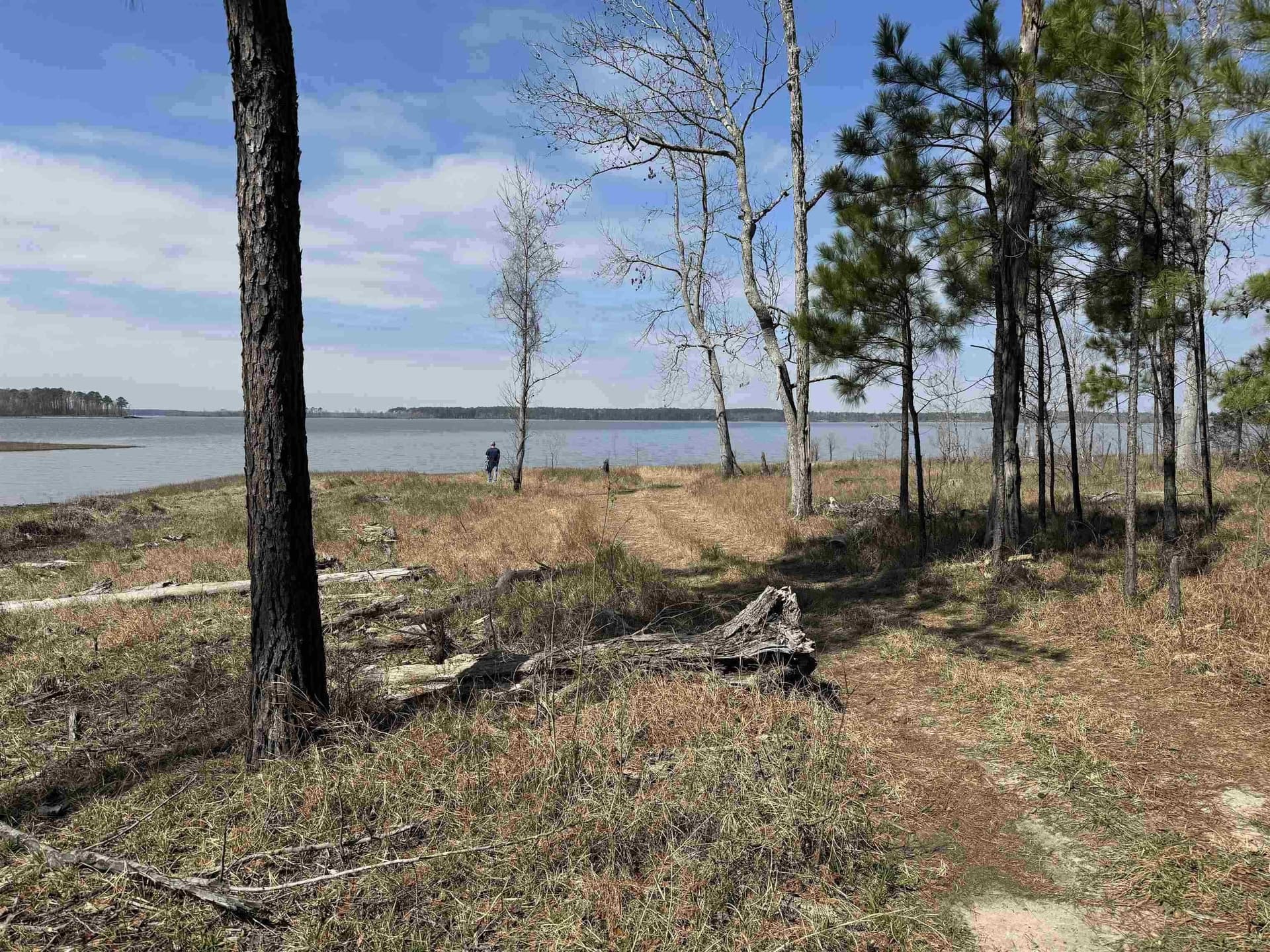 1.03 acres in Texas County - photo 6