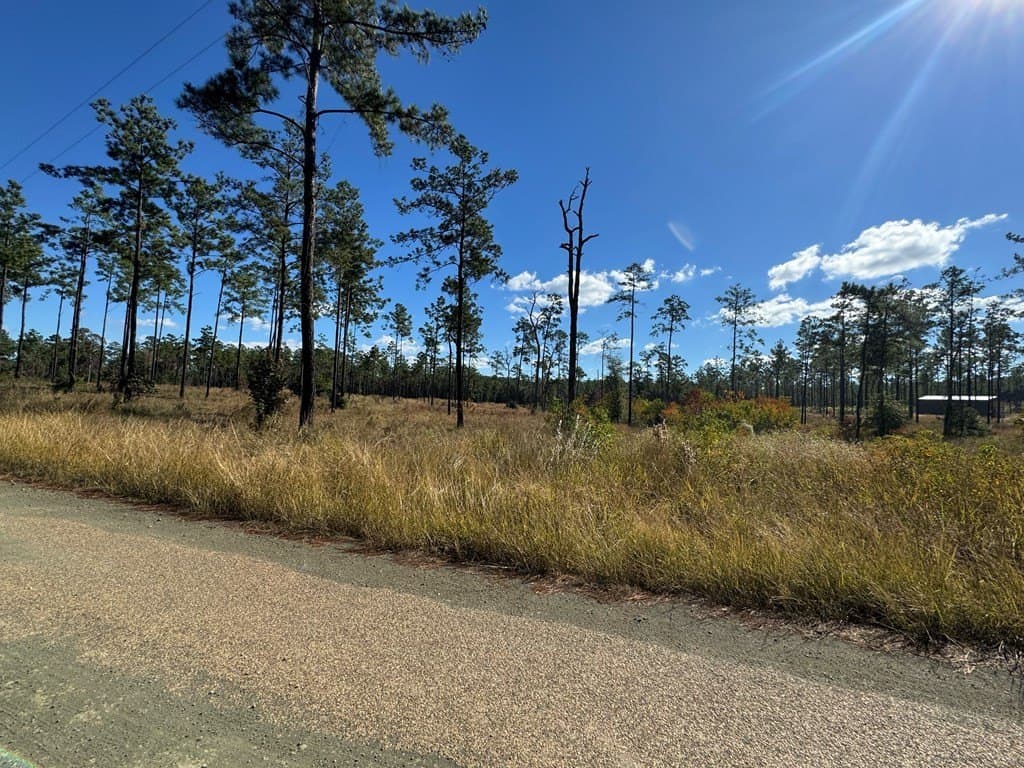 1.03 acres in Texas County - photo 9