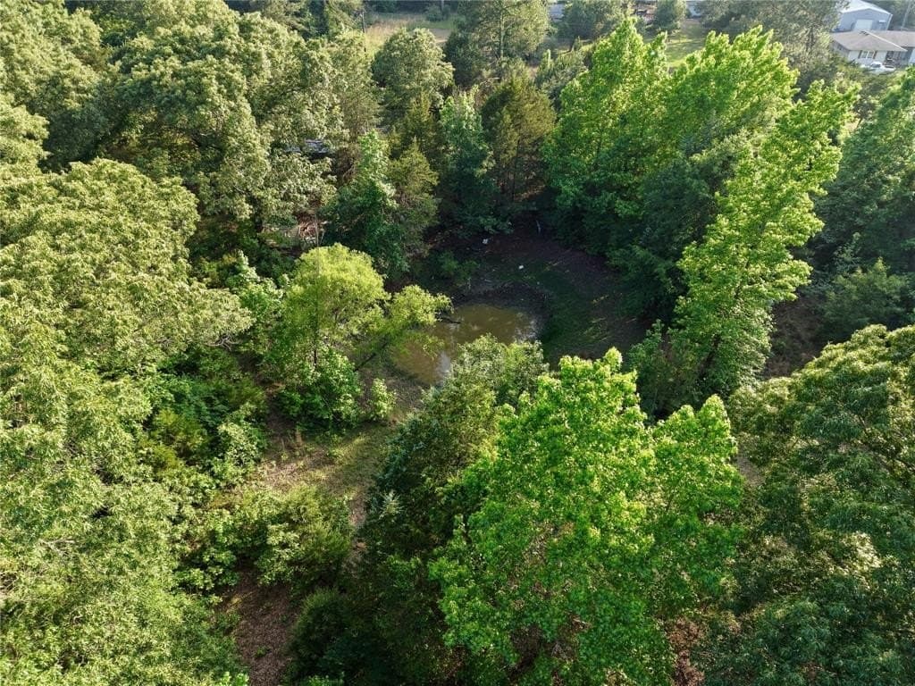 4.3 acres in Van Zandt County gallery image 4