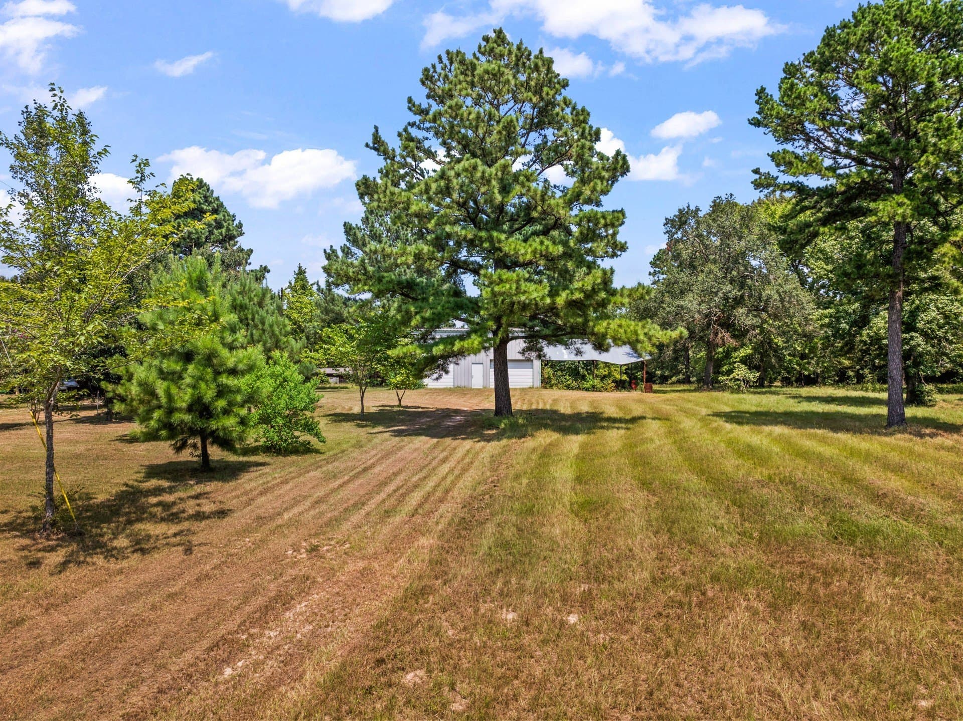 12.41 acres in Camp County - photo 5
