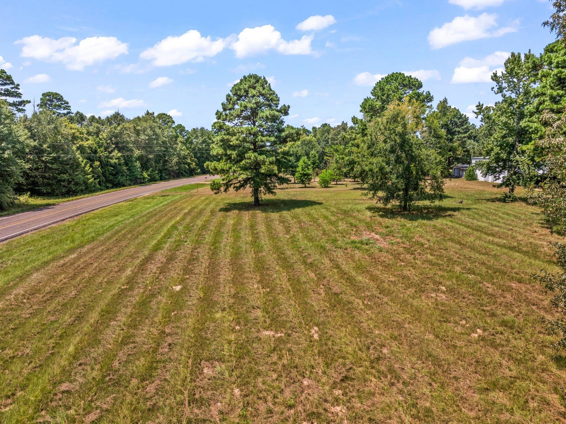 12.41 acres in Camp County - photo 16