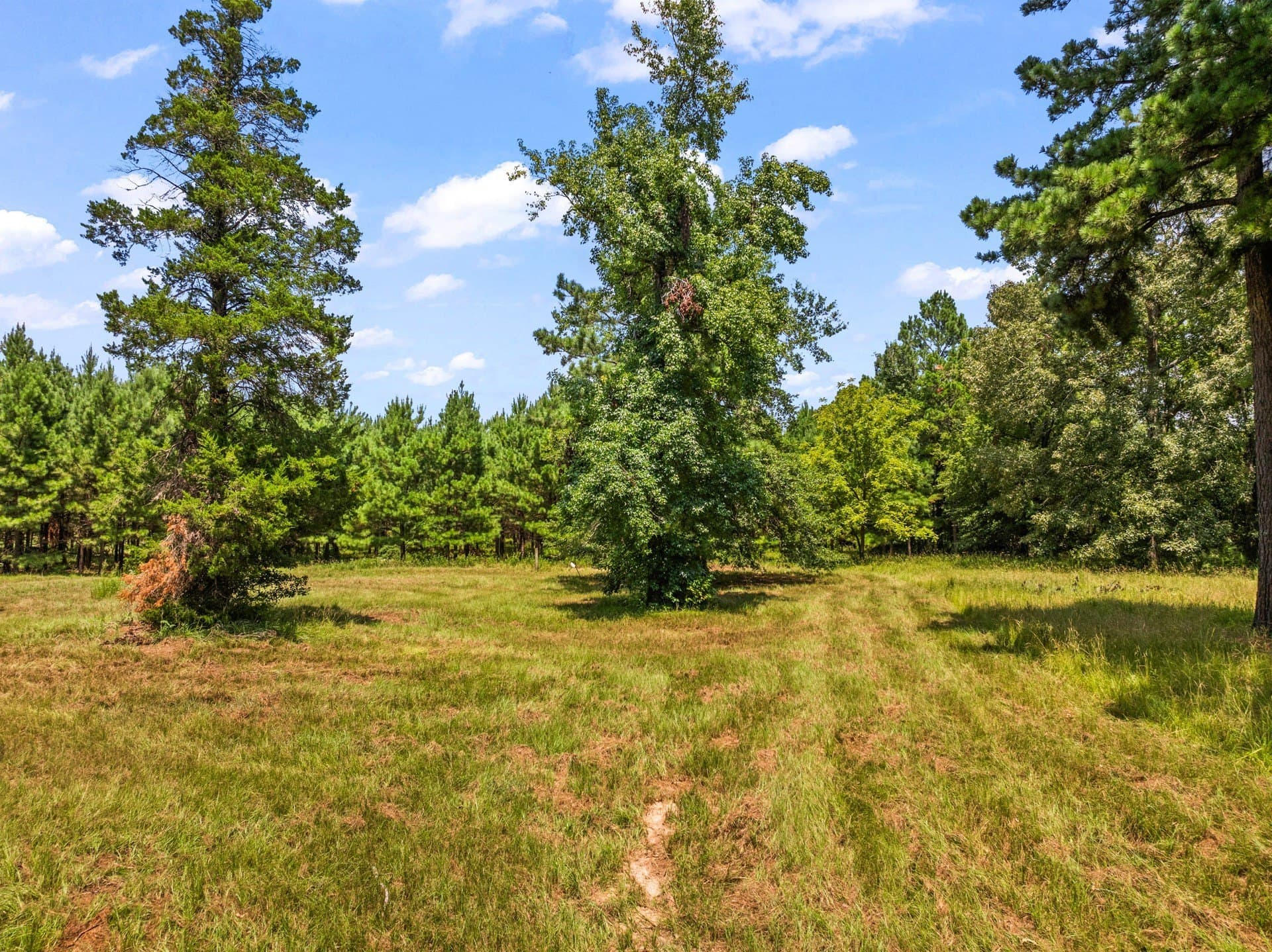 12.41 acres in Camp County - photo 9
