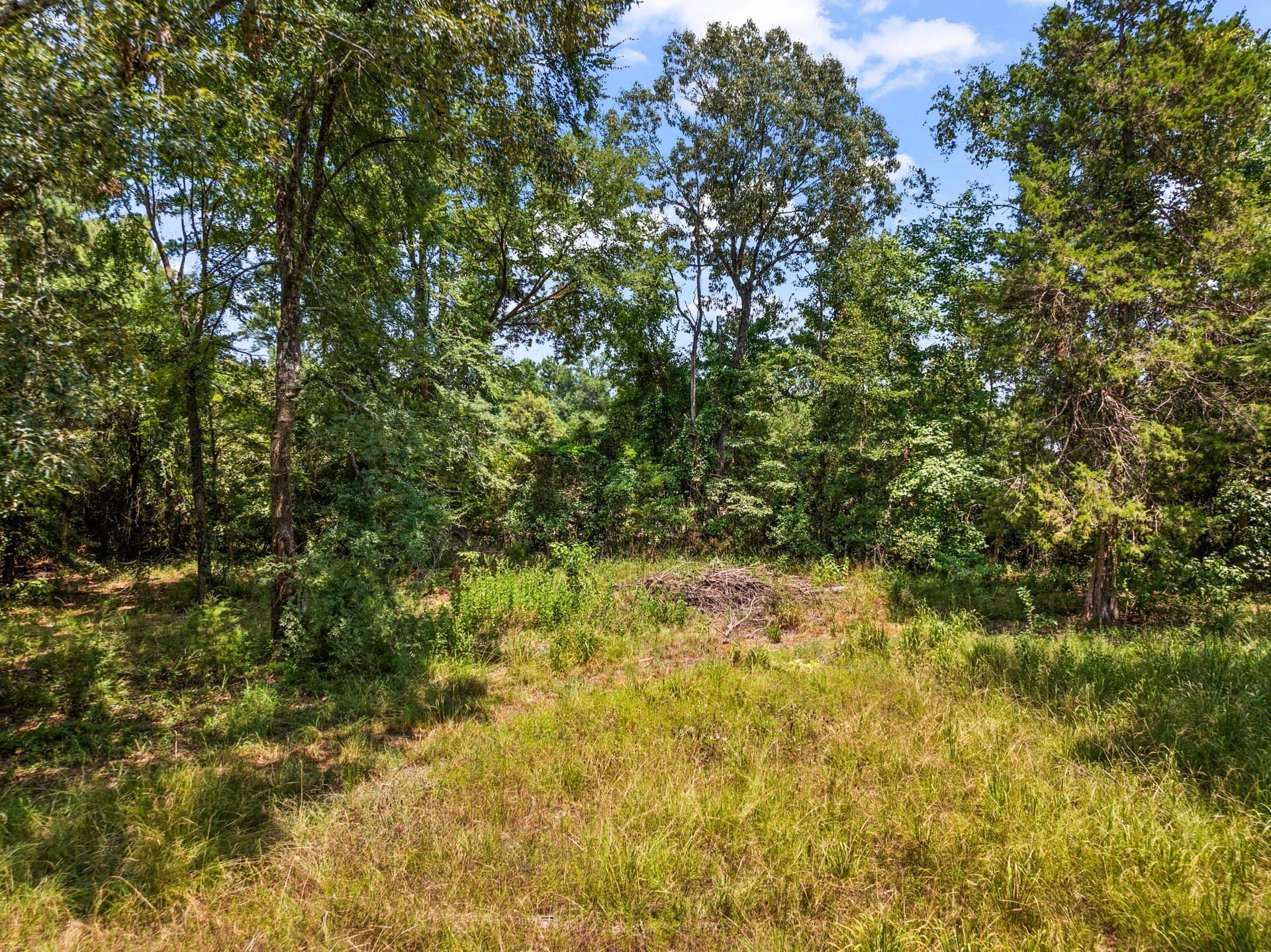 12.41 acres in Camp County - photo 13