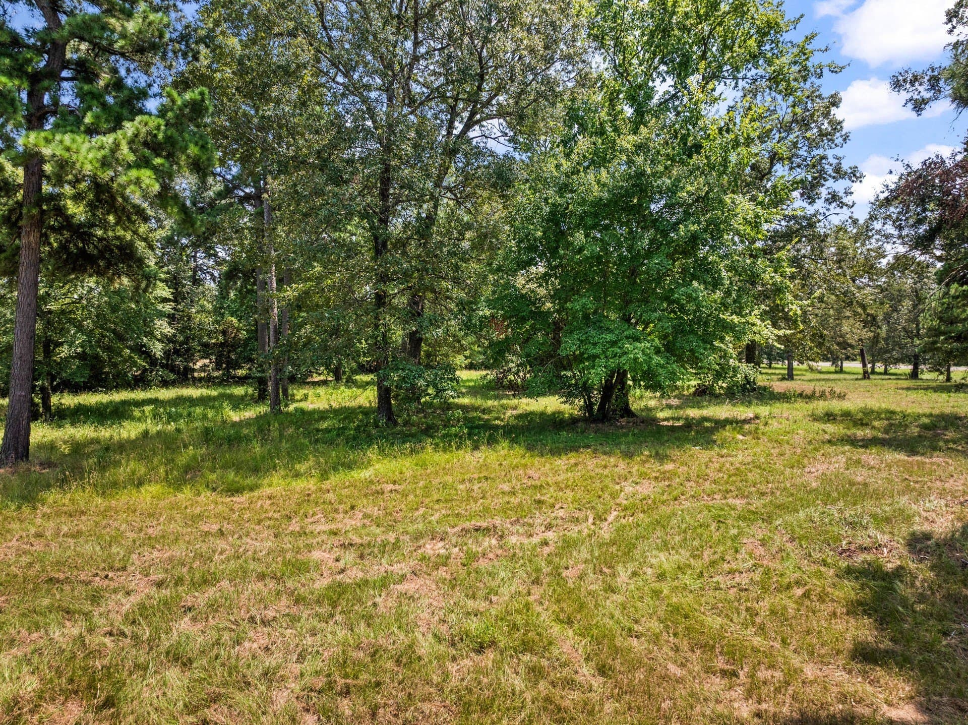 12.41 acres in Camp County - photo 12