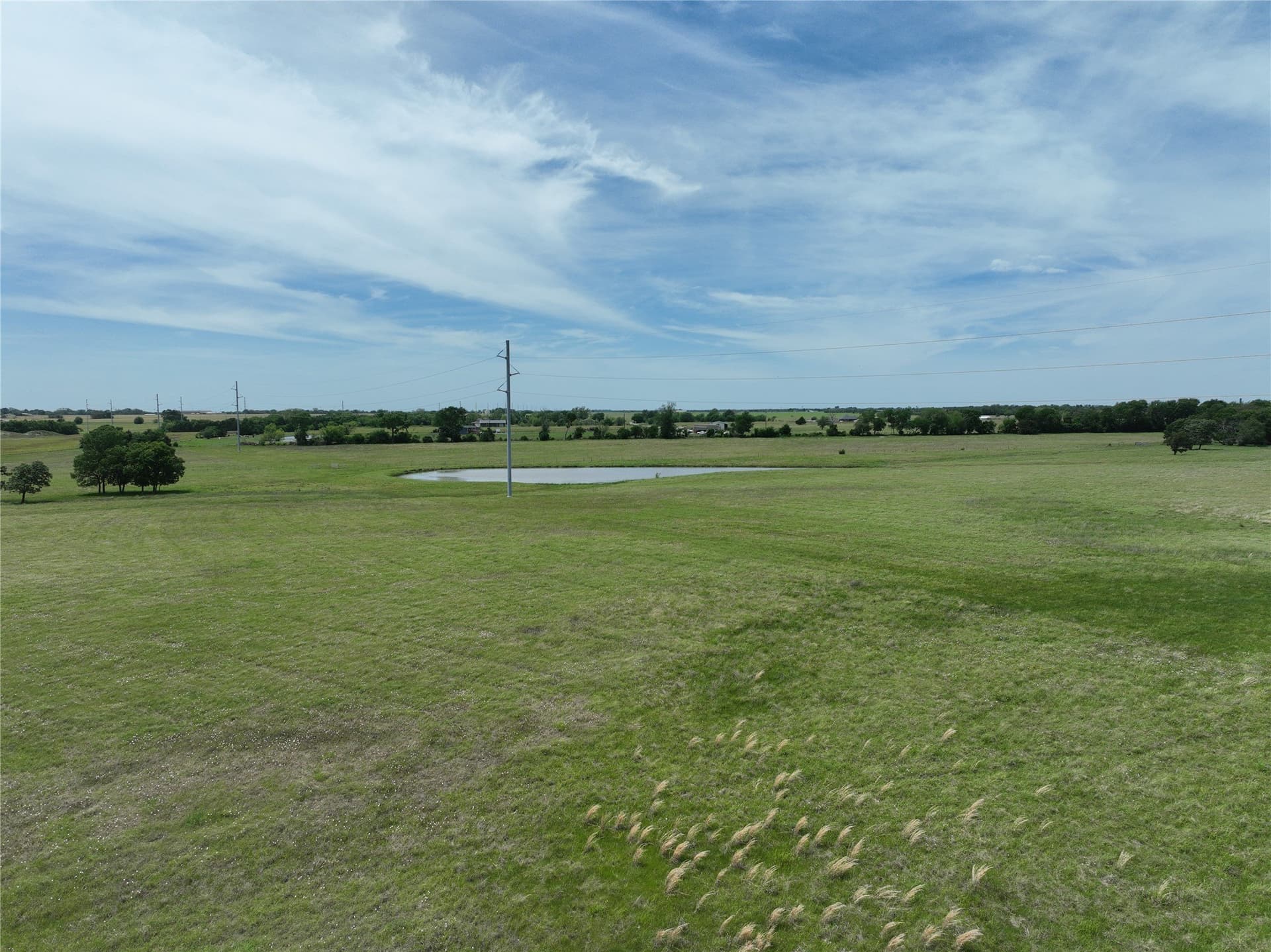 13.4 acres in Fannin County gallery image 4