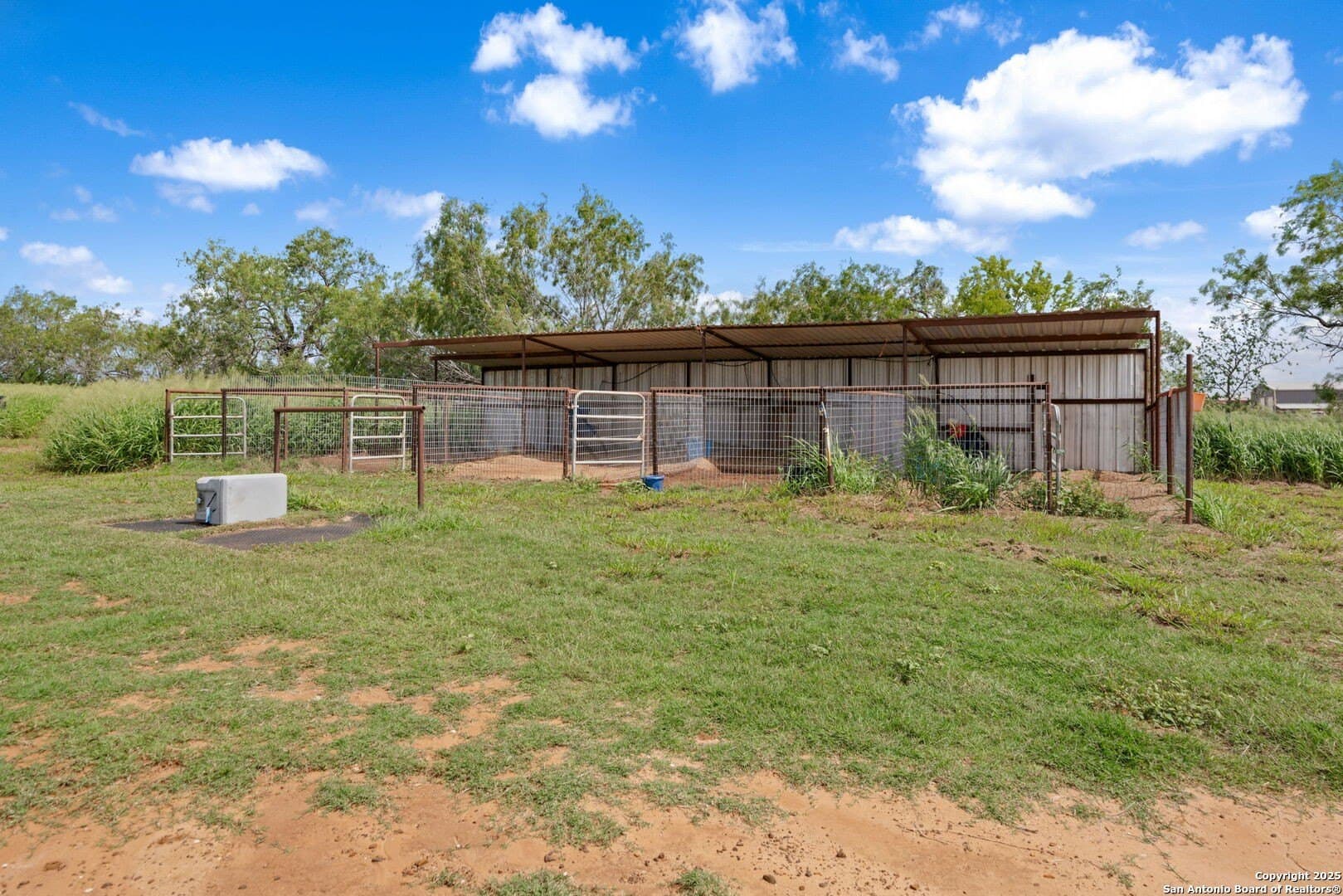 11 acres in Atascosa County - photo 39