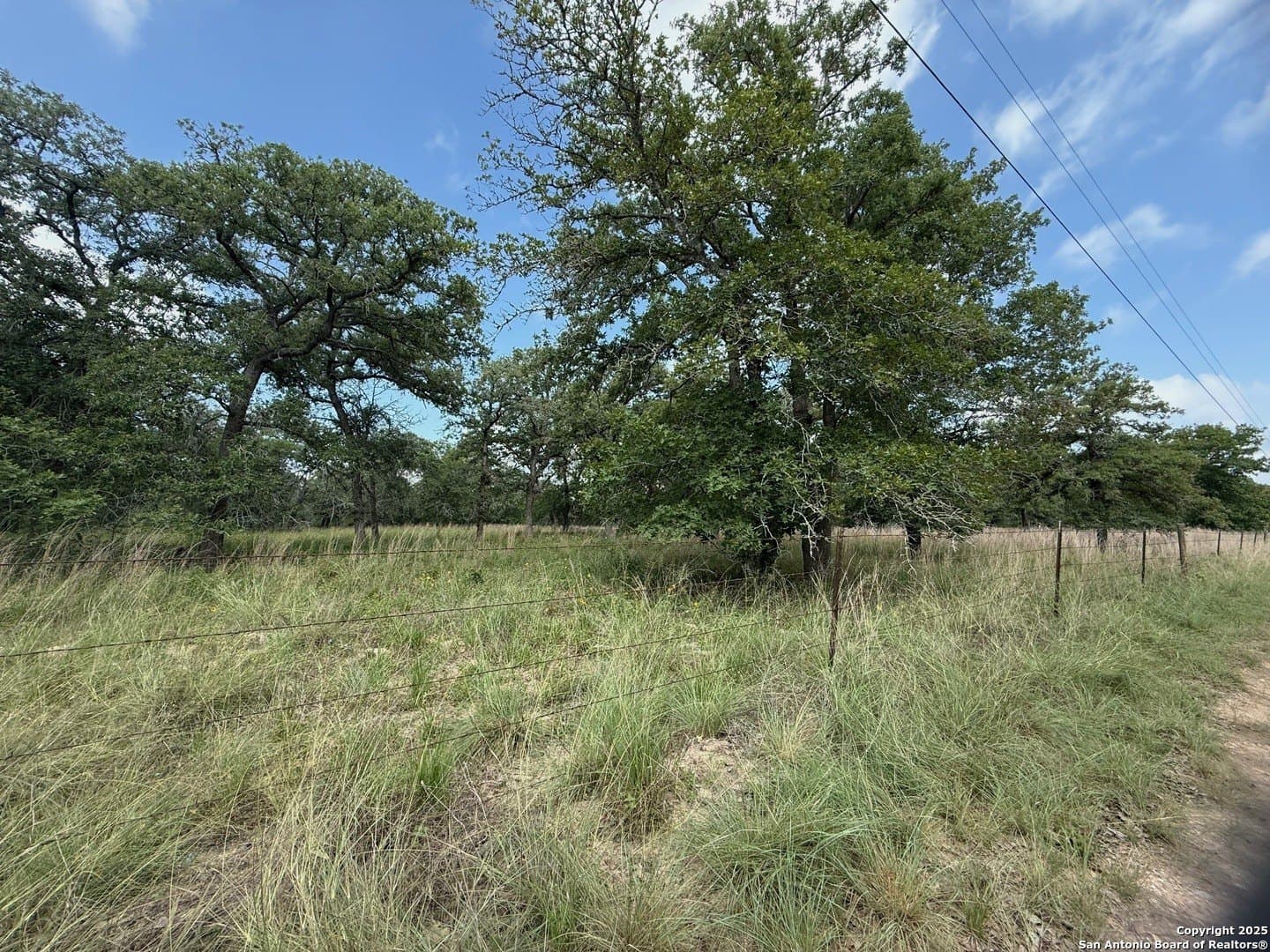 4 acres in Wilson County gallery image 3