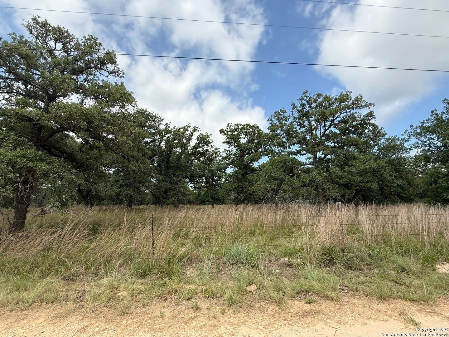 4 acres in Wilson County - photo 6