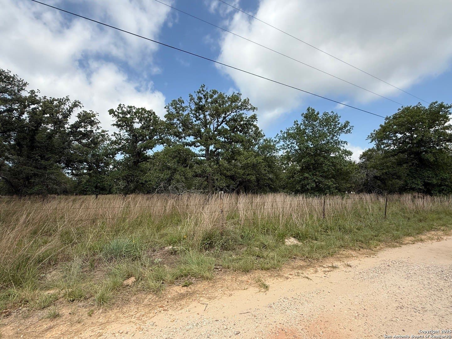 4 acres in Wilson County - photo 7