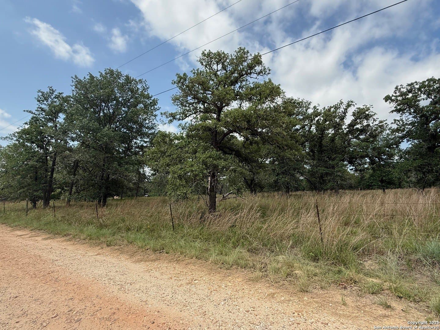 4 acres in Wilson County - photo 8