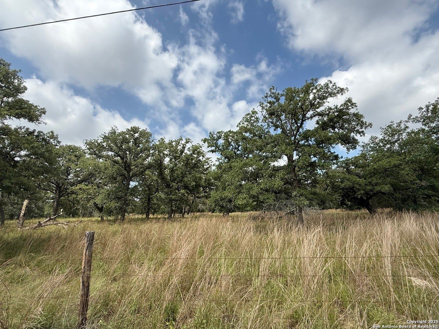 4 acres in Wilson County gallery image 2