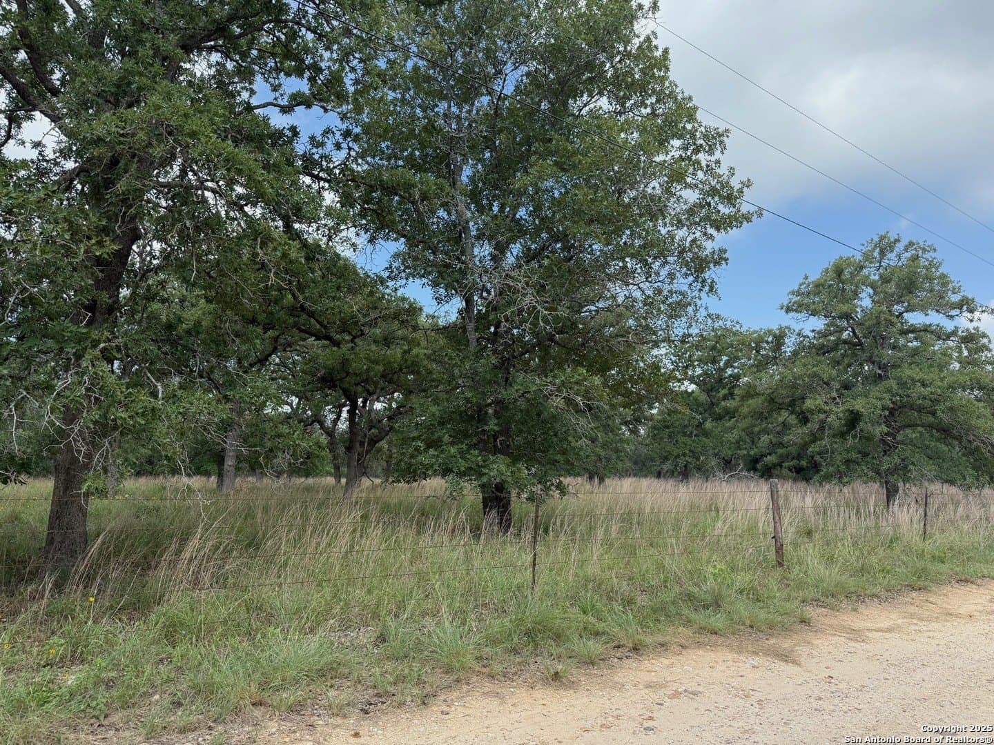 4 acres in Wilson County - photo 9