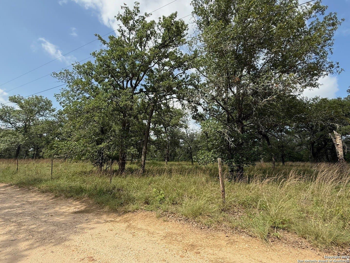 4 acres in Wilson County featured view