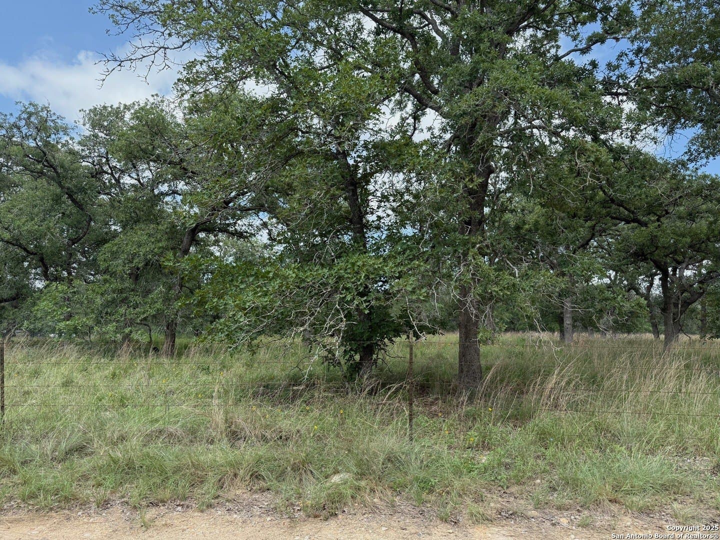 4 acres in Wilson County - photo 11