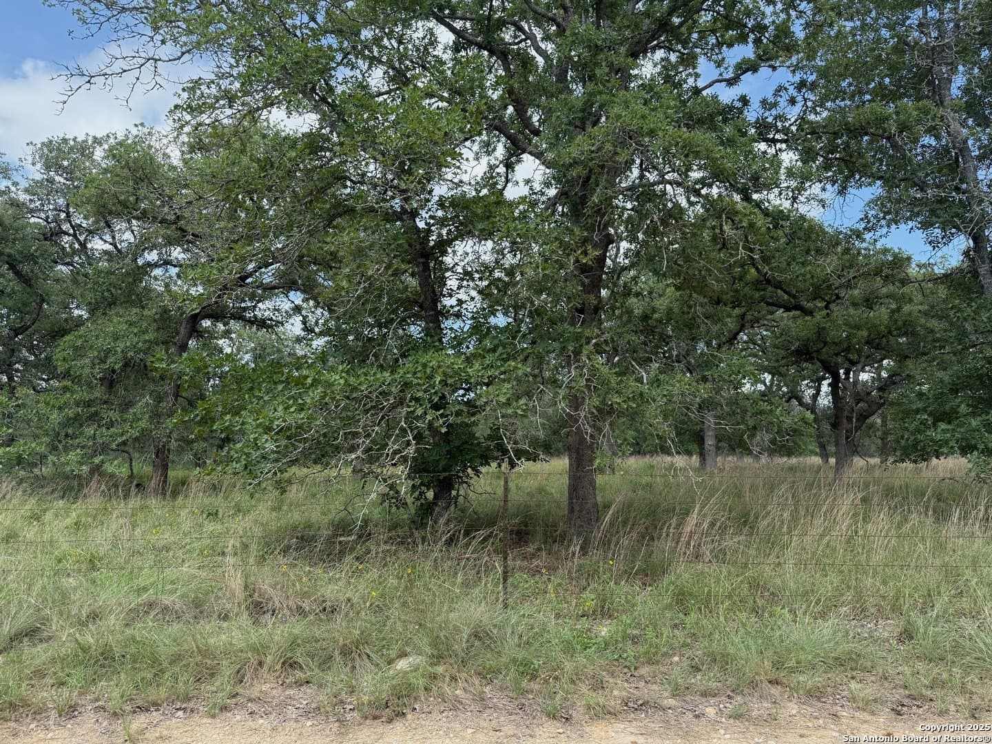 4 acres in Wilson County - photo 10