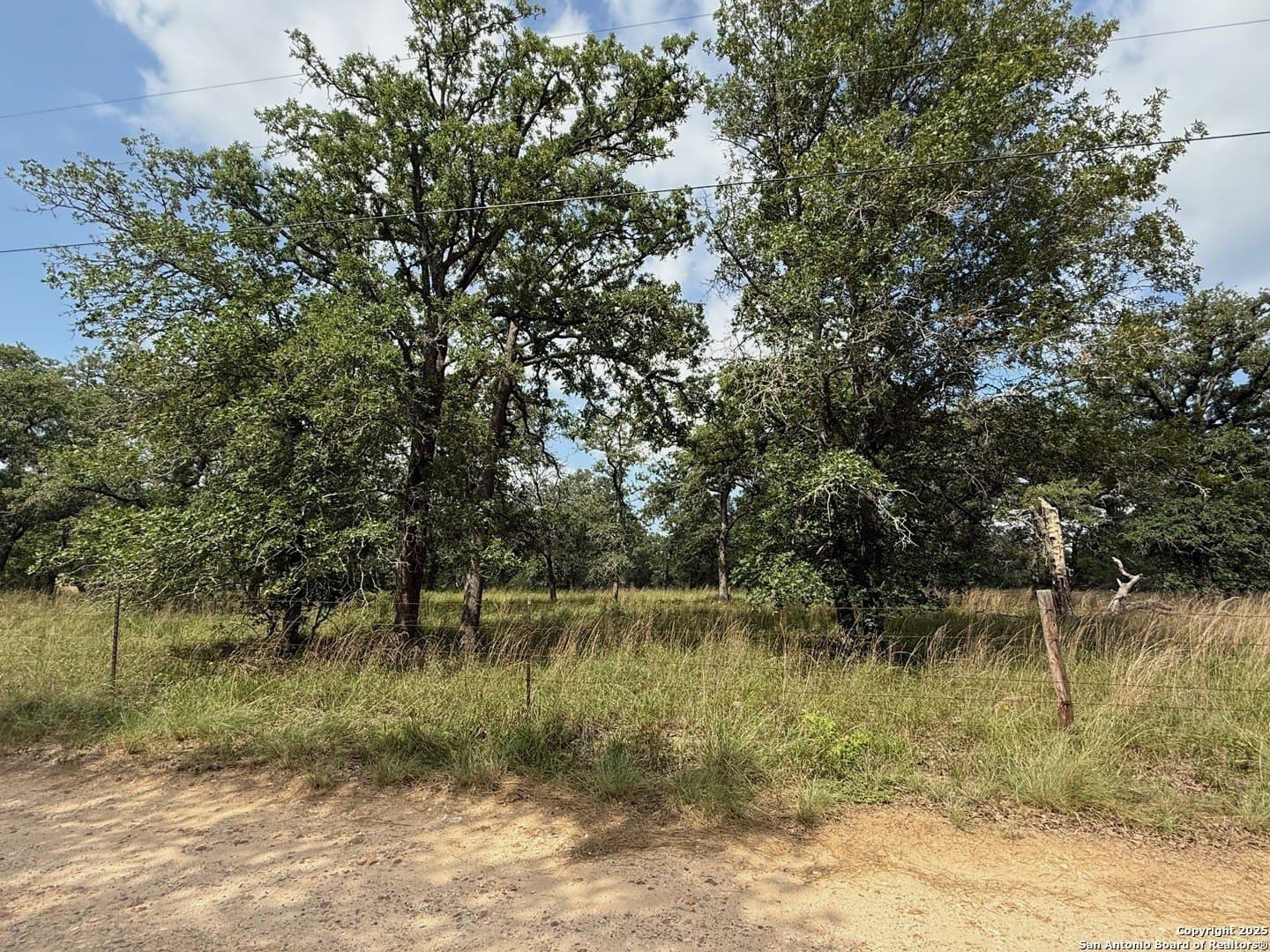 4 acres in Wilson County gallery image 4