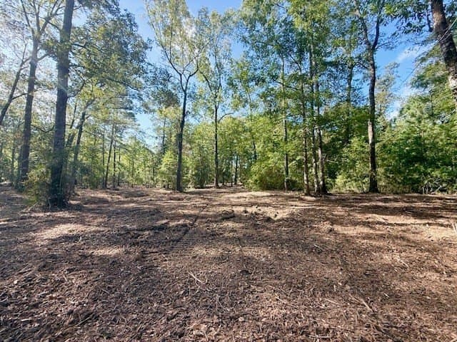 14.39 acres in Texas County - photo 8