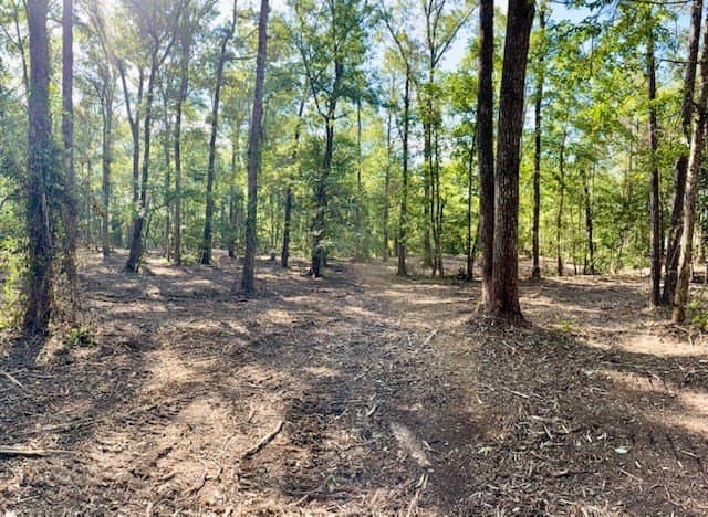 14.39 acres in Texas County - photo 9