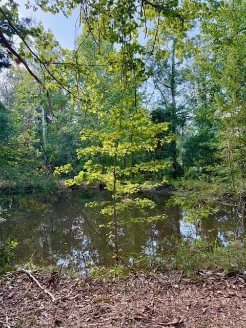 14.39 acres in Texas County - photo 10