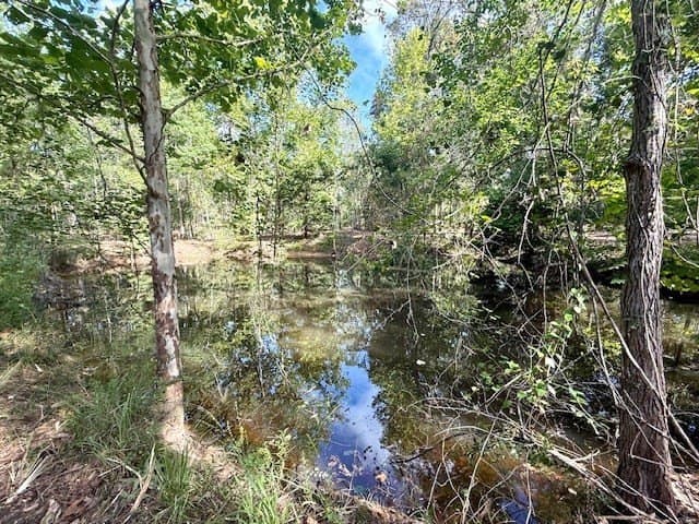 14.39 acres in Texas County - photo 13