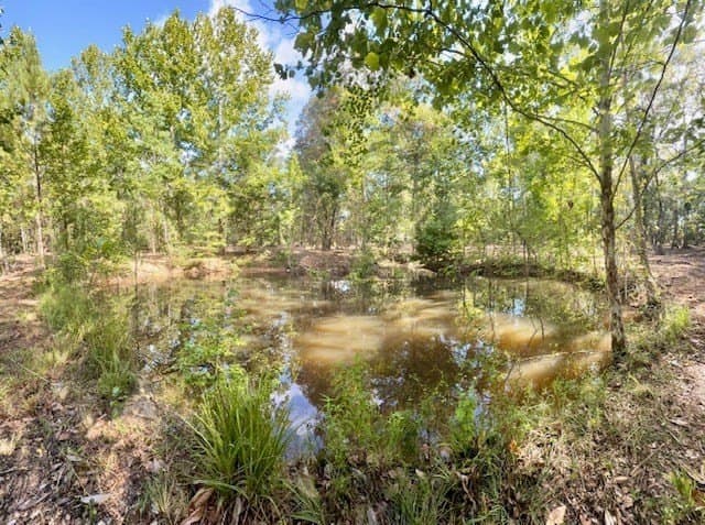 14.39 acres in Texas County - photo 12