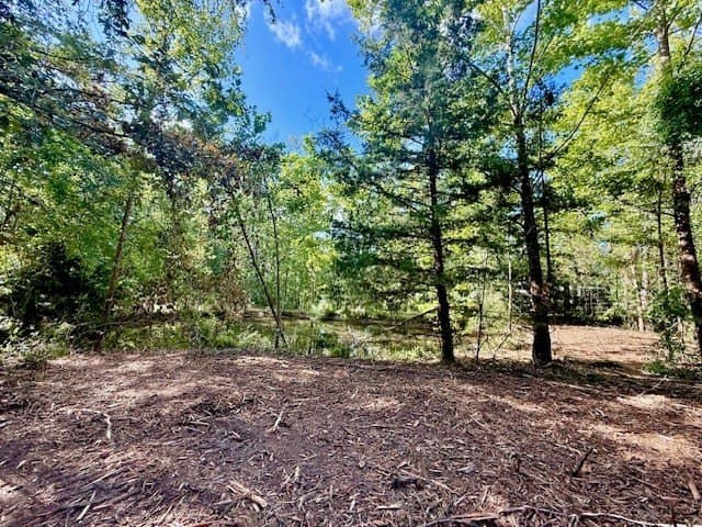 14.39 acres in Texas County - photo 15