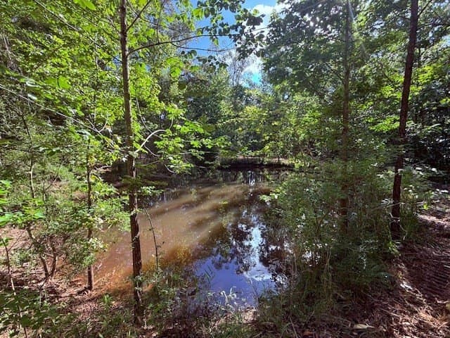 14.39 acres in Texas County - photo 11