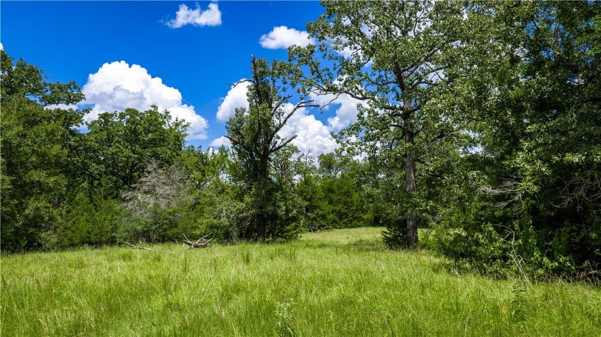 13.5 acres in Madison County featured view