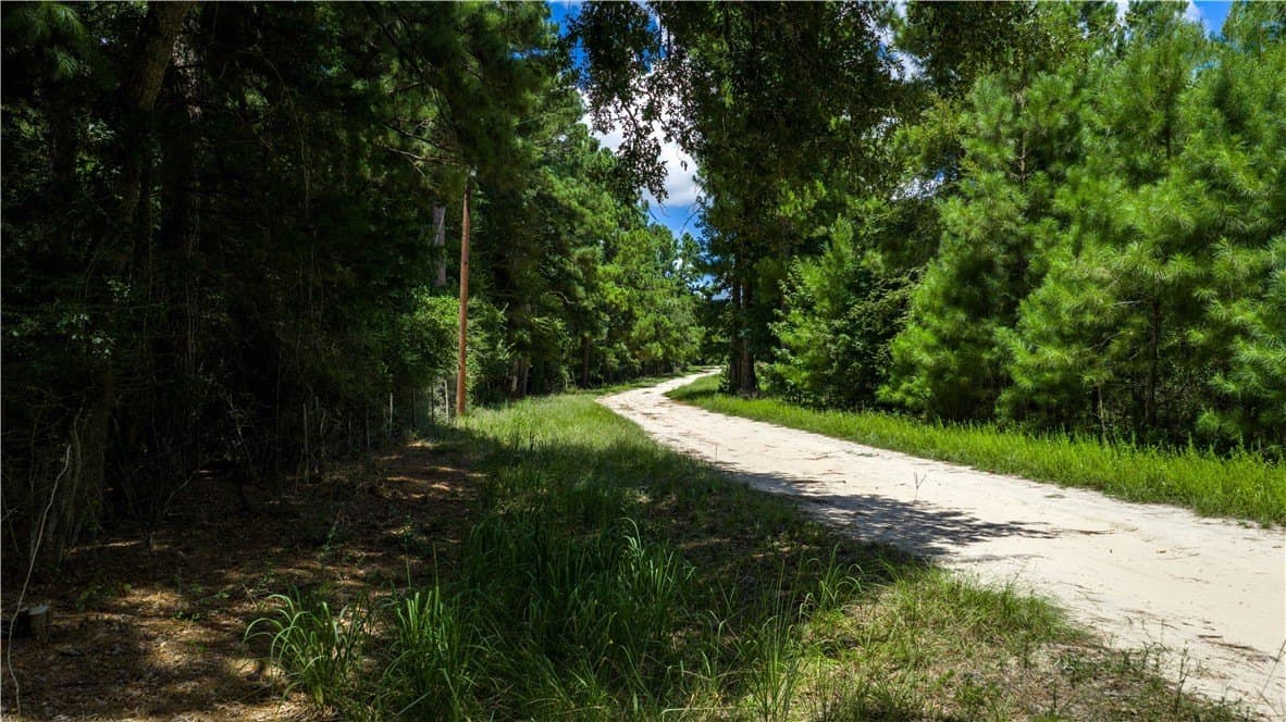 13.5 acres in Madison County gallery image 2