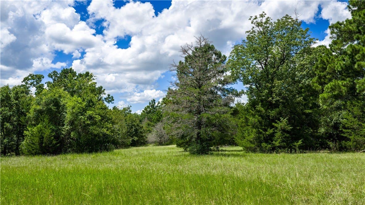 13.5 acres in Madison County gallery image 4