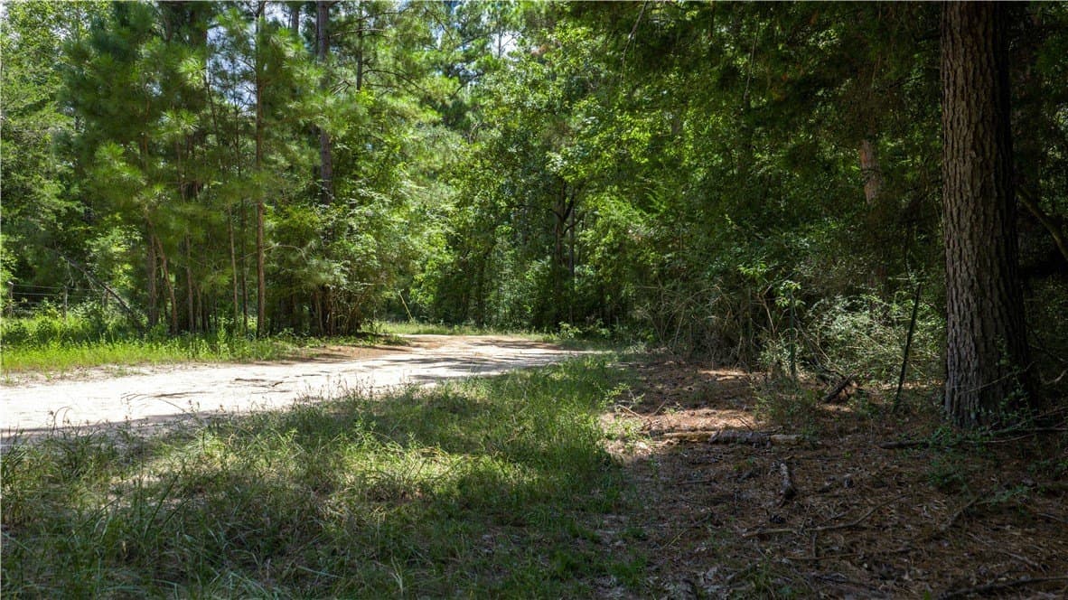 13.5 acres in Madison County gallery image 3