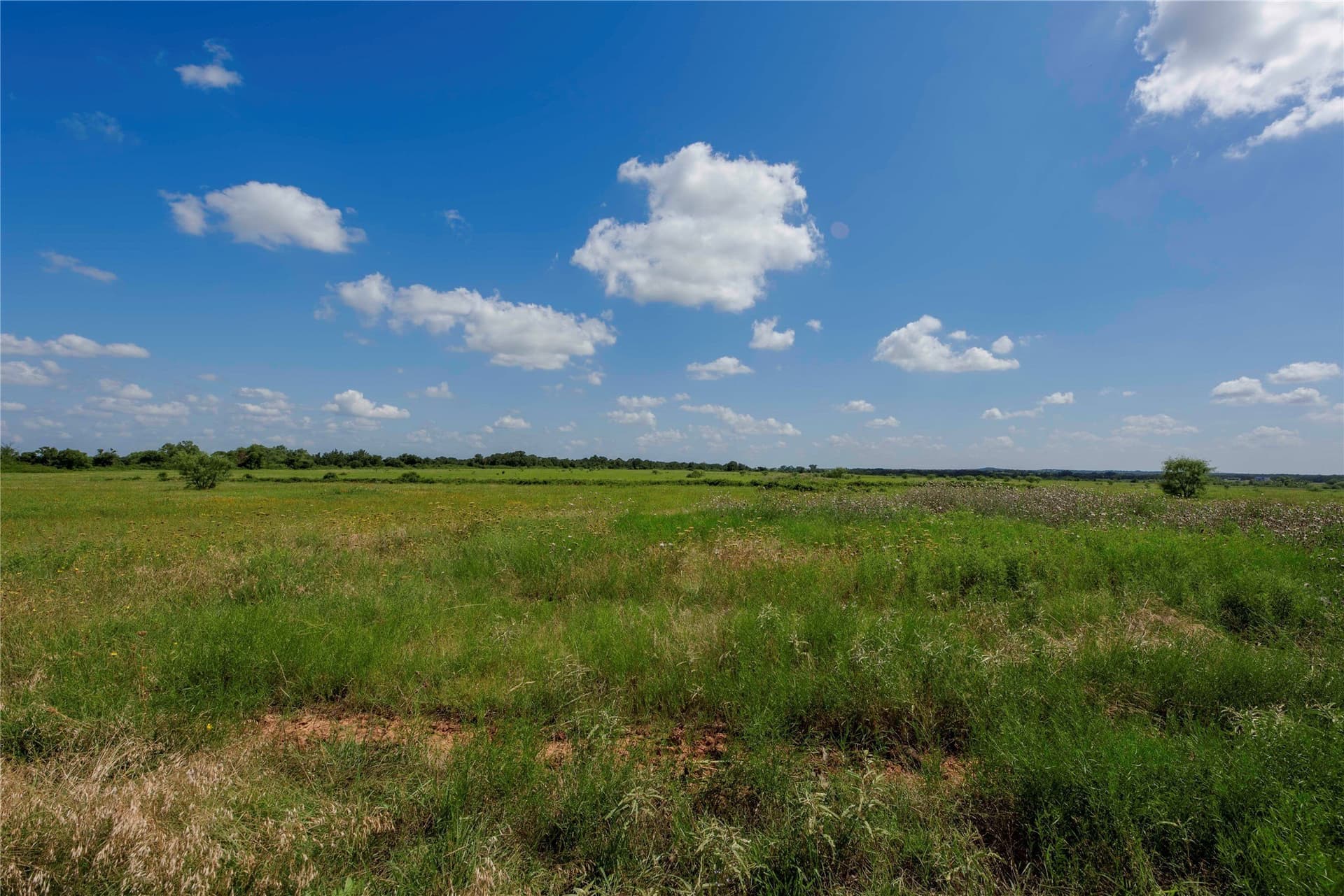 504.36 acres in Eastland County gallery image 3