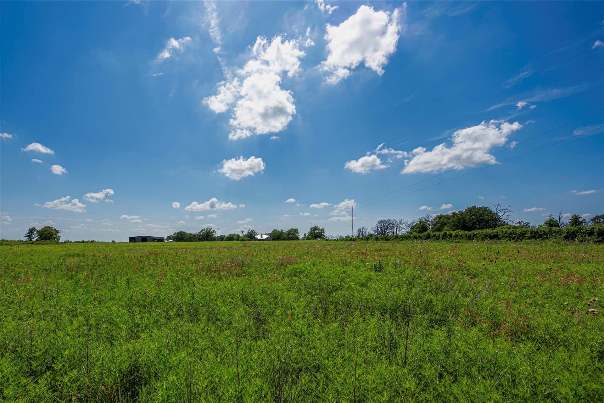 504.36 acres in Eastland County gallery image 4