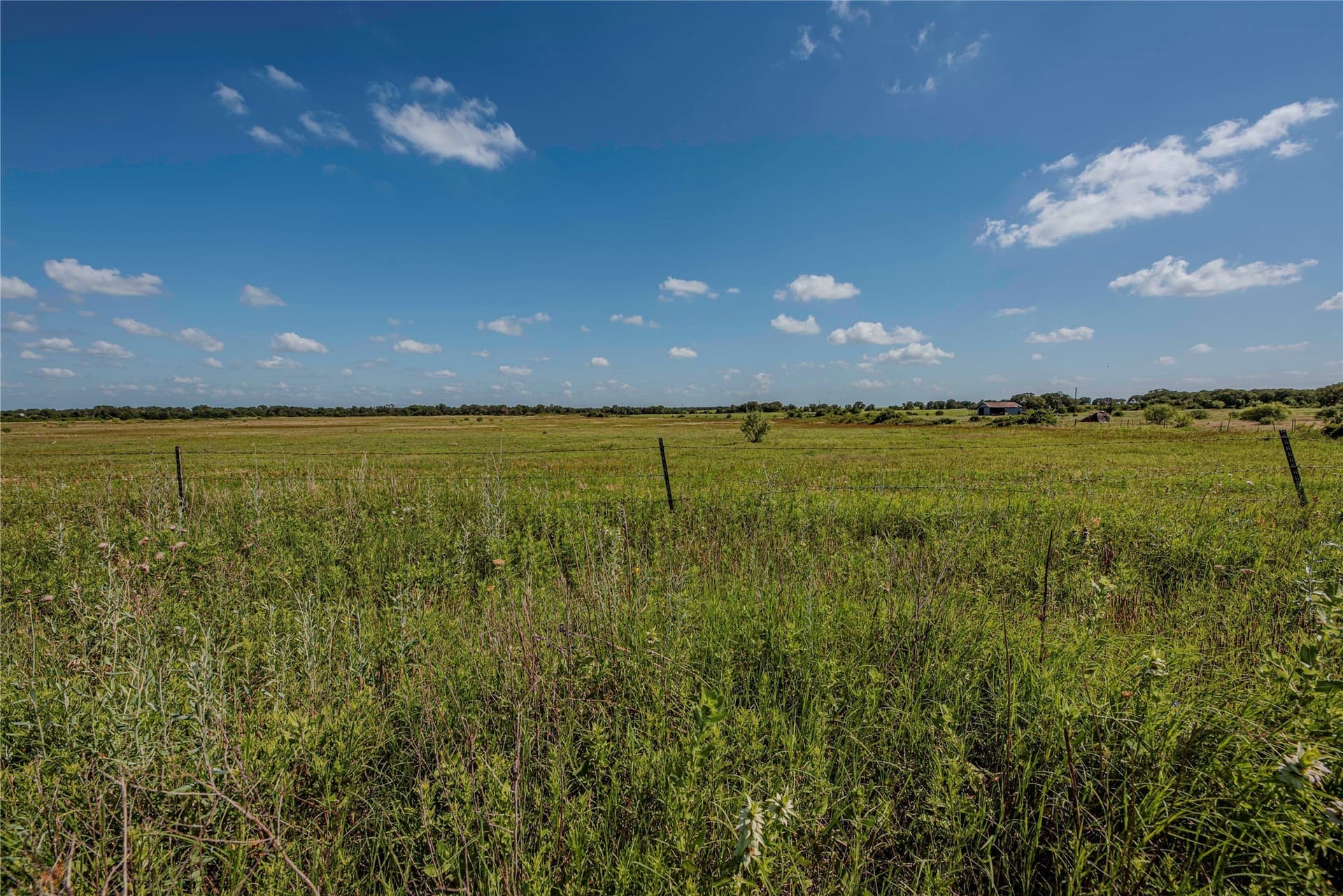 504.36 acres in Eastland County featured view