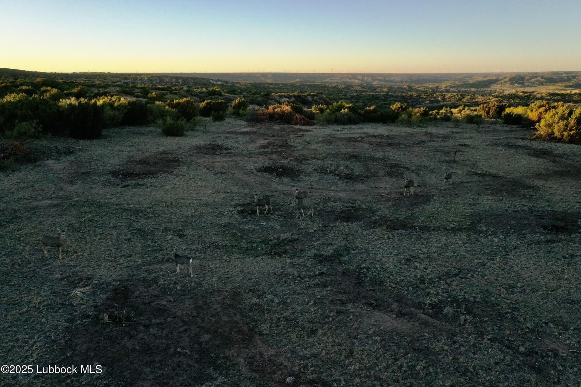 120 acres in Armstrong County featured view