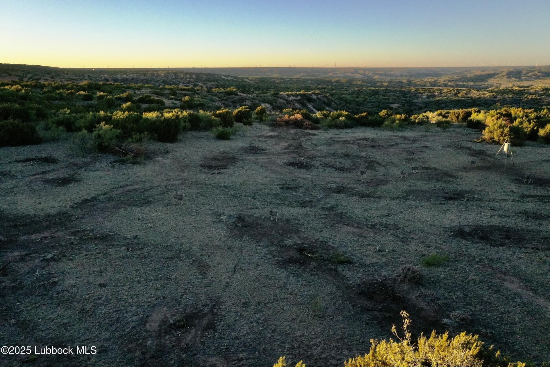 120 acres in Armstrong County gallery image 4