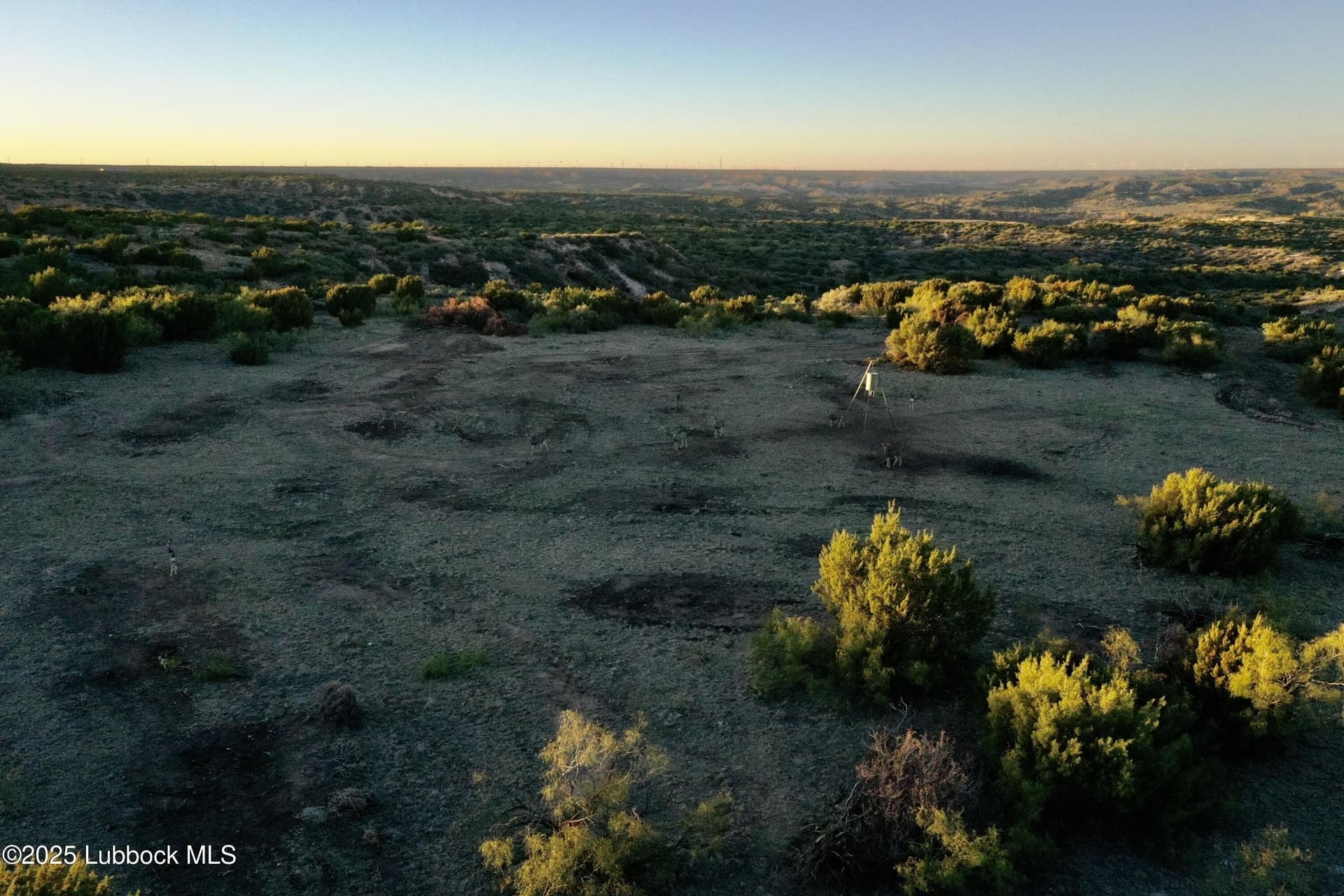 120 acres in Armstrong County gallery image 3