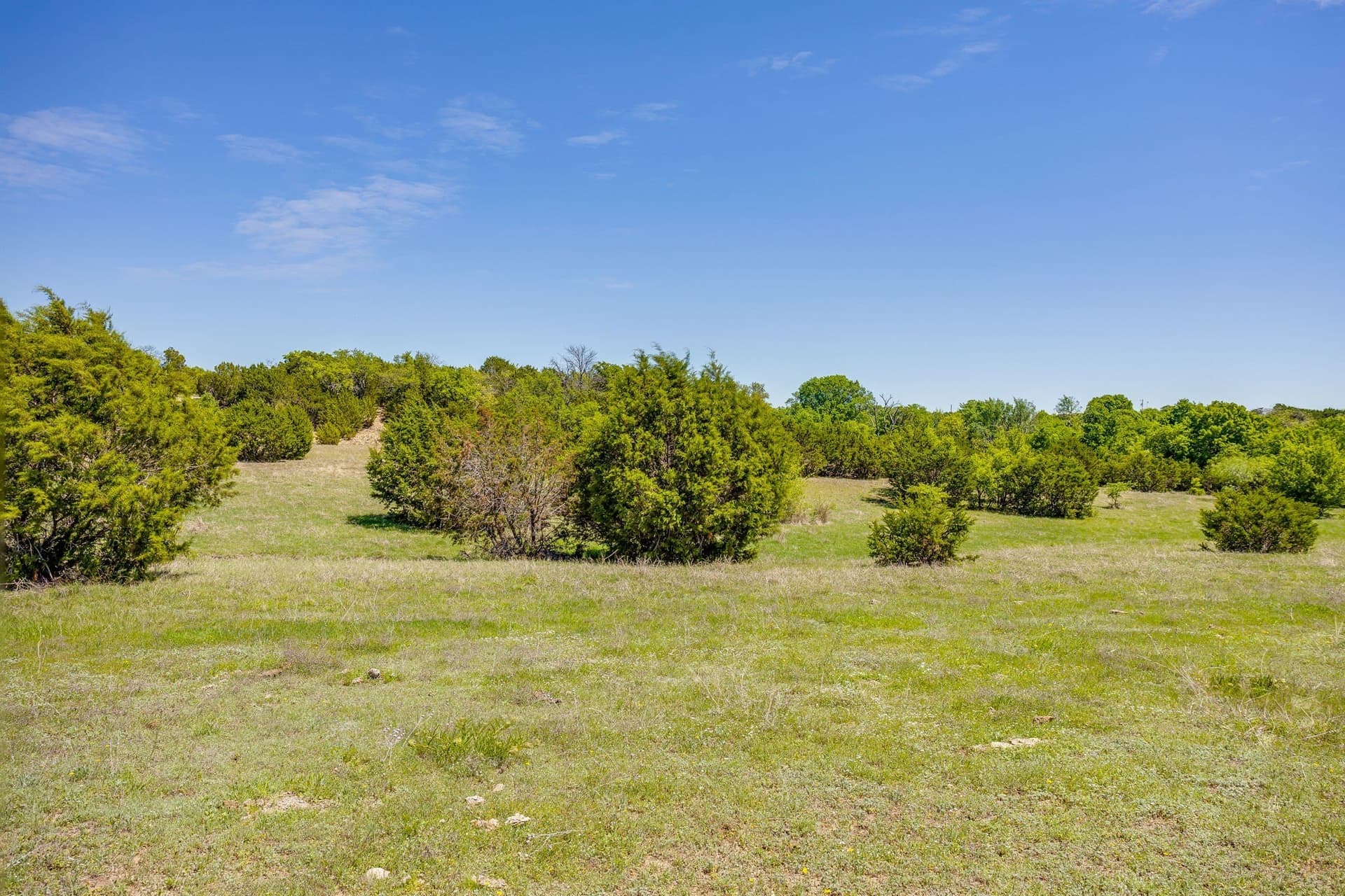 122.3 acres in Parker County - photo 24