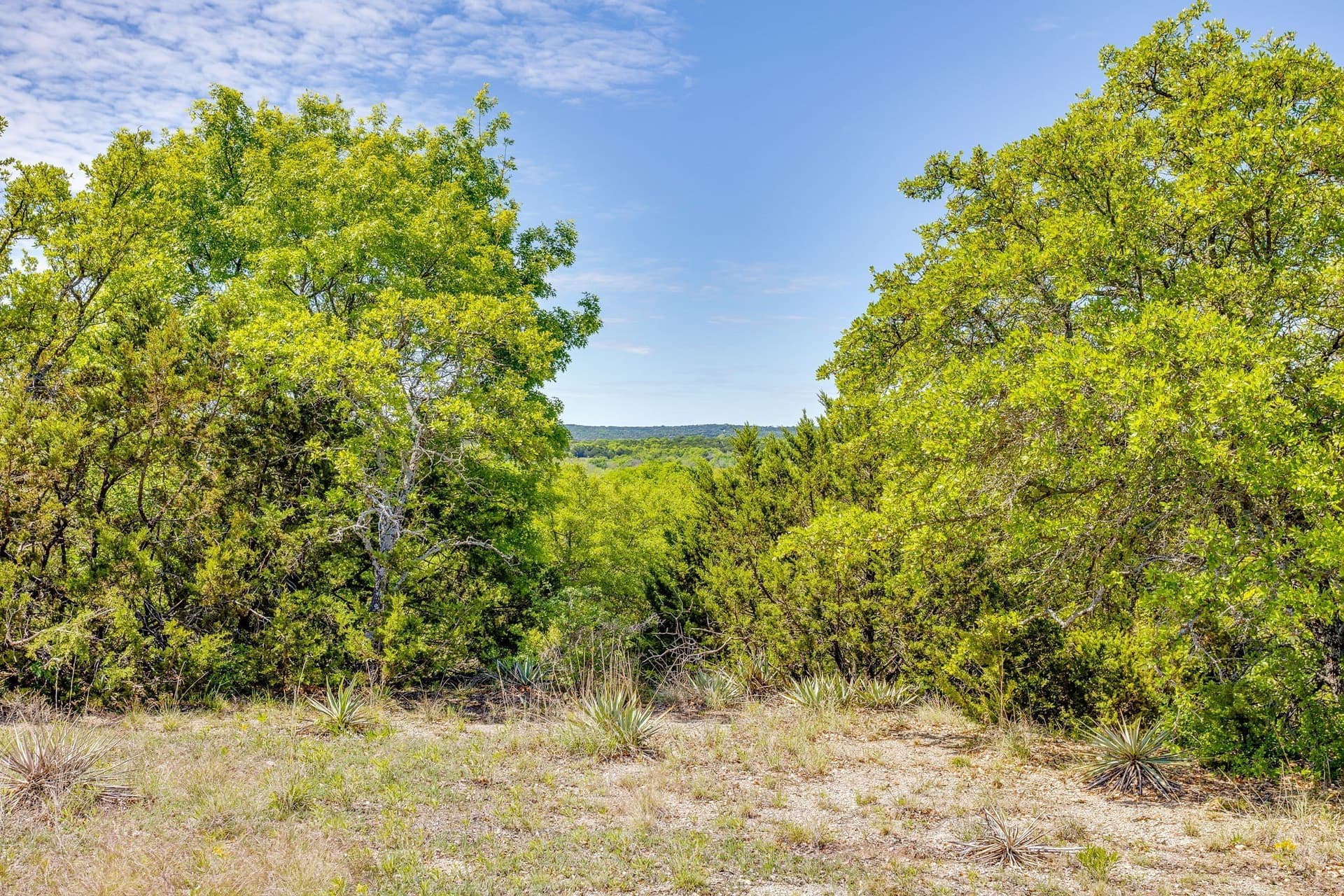122.3 acres in Parker County gallery image 3