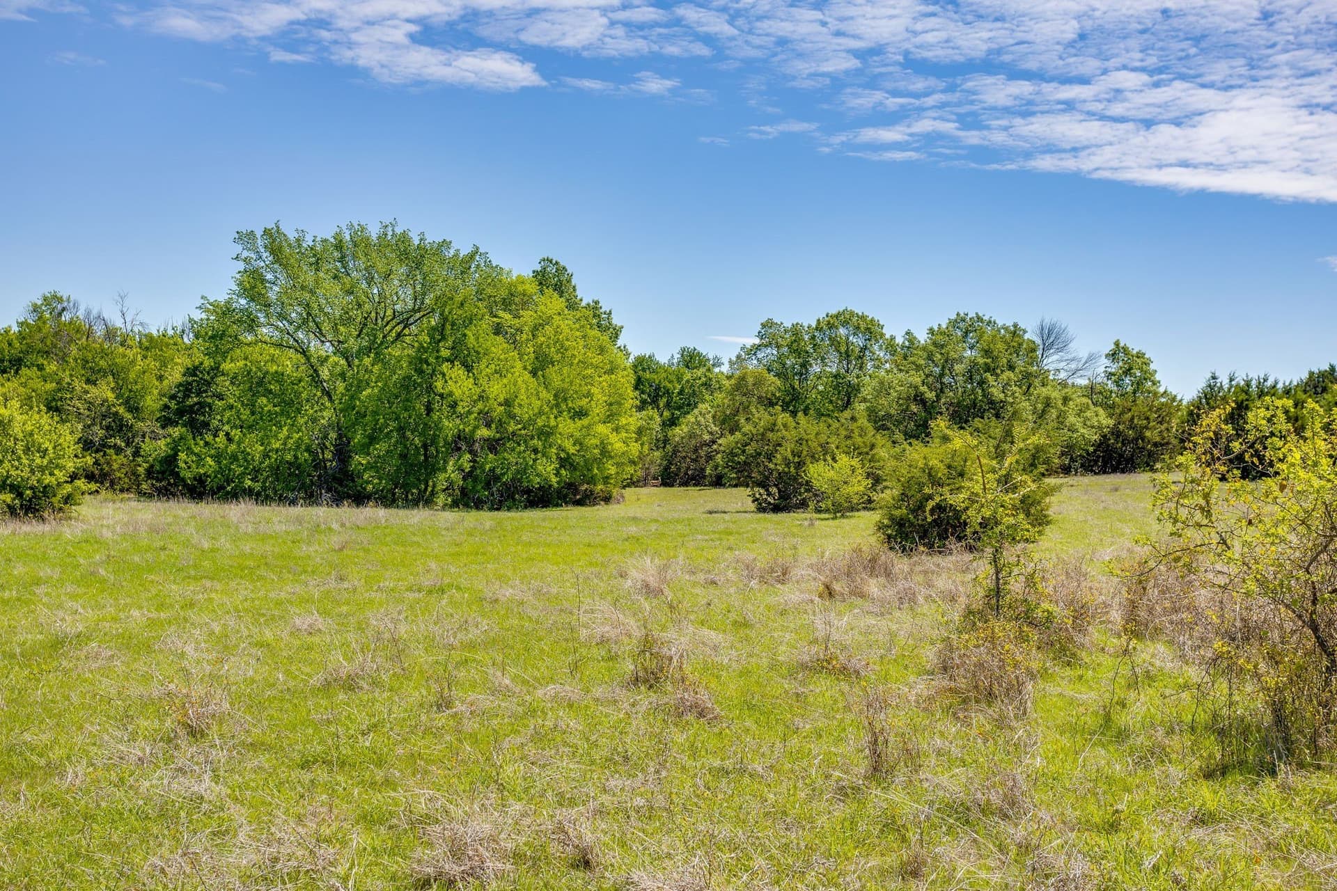 122.3 acres in Parker County - photo 22