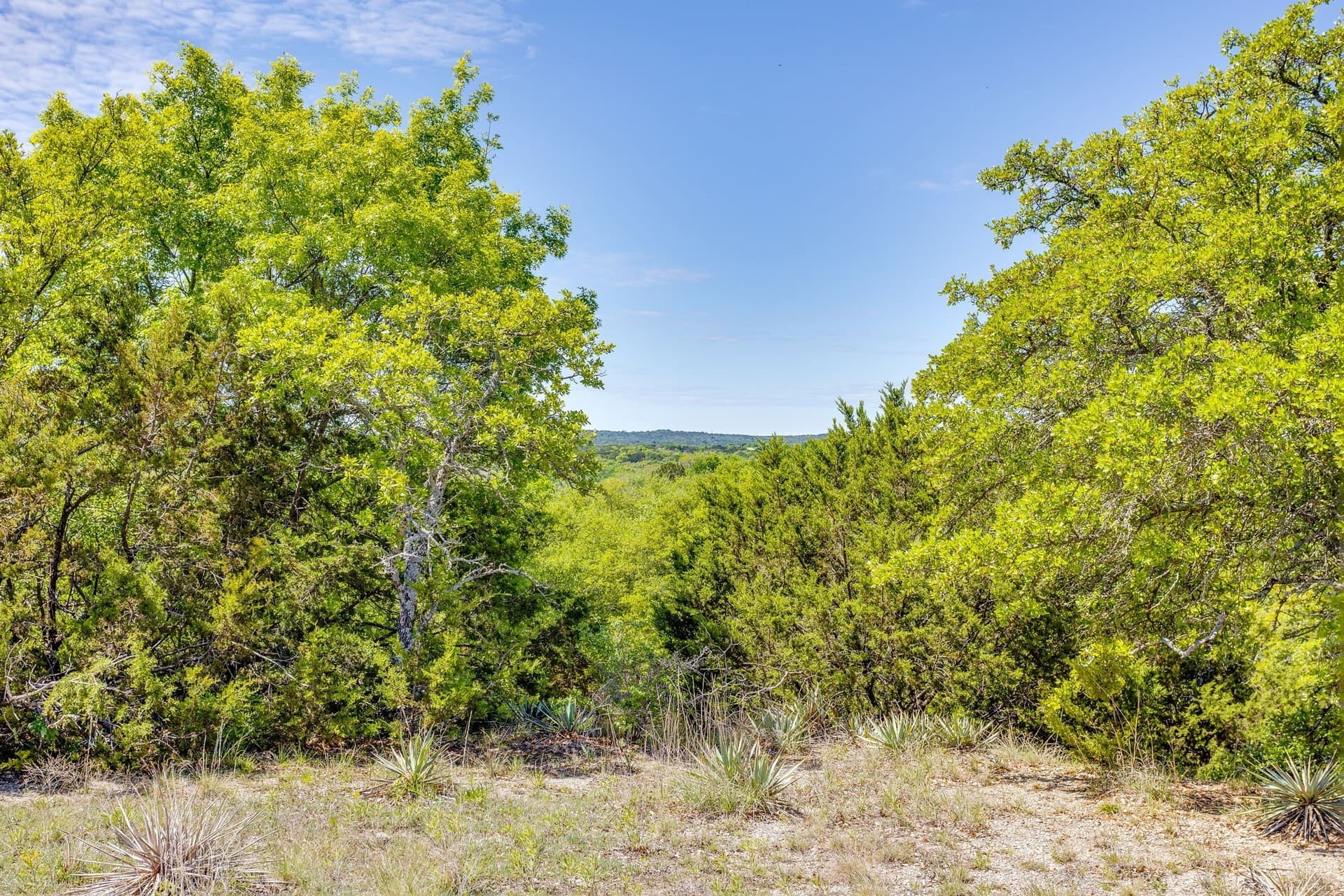 122.3 acres in Parker County - photo 18