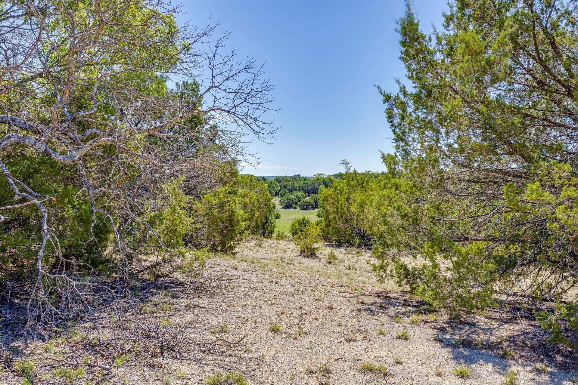 122.3 acres in Parker County - photo 27