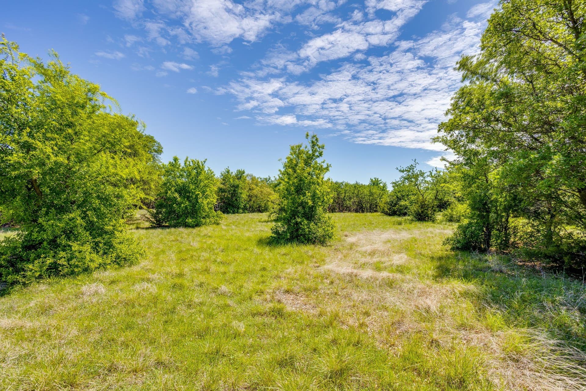 122.3 acres in Parker County - photo 20